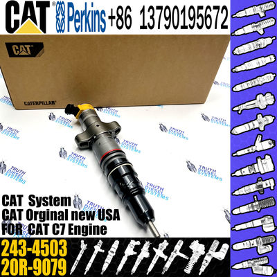 C7 Common Rail Injector 243-4502  20R-9079 2OR-8071 20R-8066  295-9166 For CAT engine