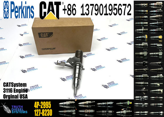 Fuel Injector 162-0212 162-0218 418-8820 0R-8461 0R-8469 0R-8465 0R-3742 0R-8463  4P-2995 For CAT  3 116
