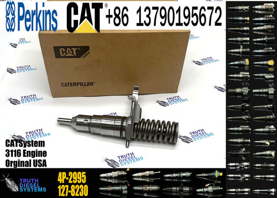 Fuel Injector 162-0212 162-0218 418-8820 0R-8461 0R-8469 0R-8465 0R-3742 0R-8463  4P-2995 For CAT  3 116