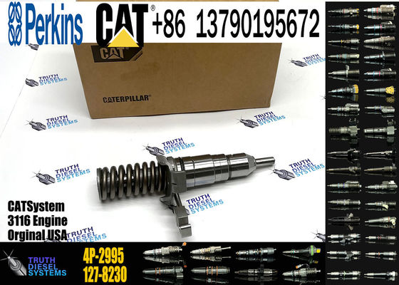 Fuel Injector 162-0212 162-0218 418-8820 0R-8461 0R-8469 0R-8465 0R-3742 0R-8463  4P-2995 For CAT  3 116