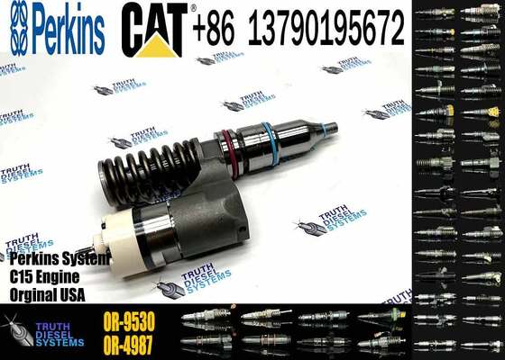 10R-0960 10R0960 1660149 166-0149 Fuel Injector for CAT C10 C12 3176 3196 C-12 Engine 194-5083 OR-9530 20R-1264 20R-1265