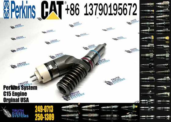Excavator Engine Parts Fuel Injector 249-0707 249-0708 2490708 249-0712 249-0713 249-0746 250-1302 250-1303 250-1304 250-1306