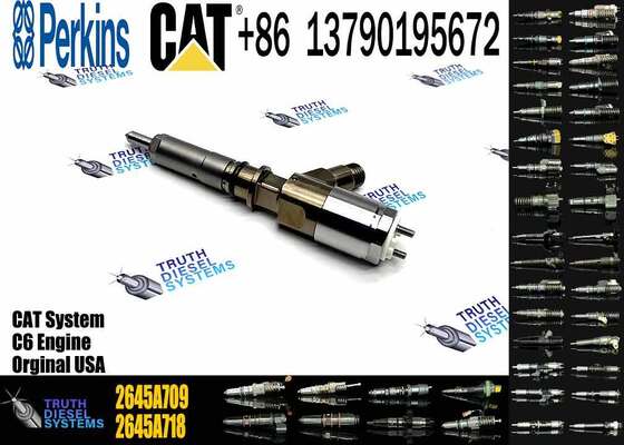 Injector 2645A705 2645A709 2645A731 306-9370 2465A749 2346A734 310-1852 2645A745 for C4 C6 Diesel Engine Parts Nozzle Assembly