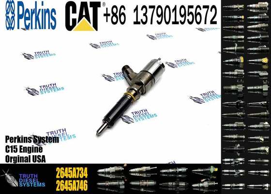 New Quality Common Rail Fuel Injector 306-9380 2645A734 Engine Fuel Injector for Engine C6.6