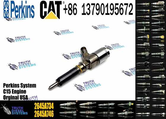 New Quality Common Rail Fuel Injector 306-9380 2645A734 Engine Fuel Injector for Engine C6.6